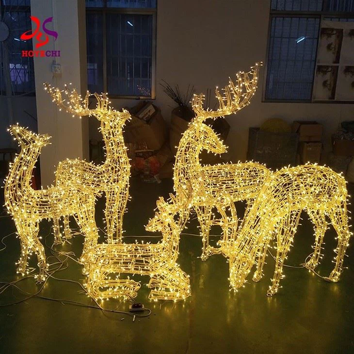 reindeer lights(001)